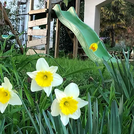 Tente Safari Eco 6 Personnes Luxury tent Castillon-Debats