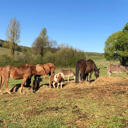 Luksustelt Tente Safari Eco 6 Personnes
