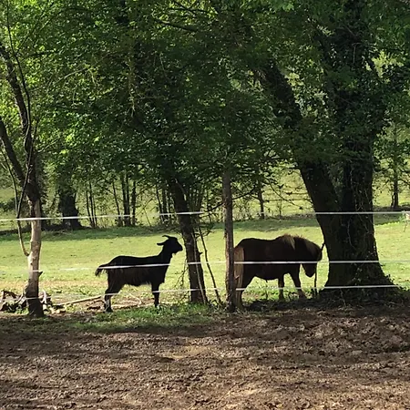 Tente Safari Eco 6 Personnes * Castillon-Debats