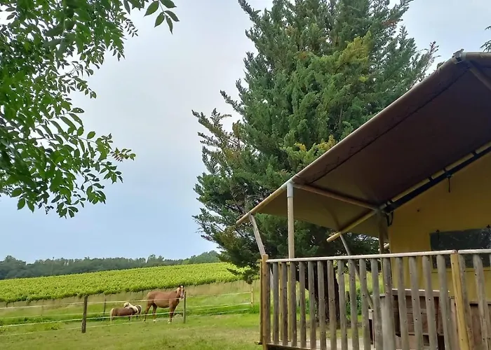 Tente Safari Eco 6 Personnes Luxury tent Castillon-Debats