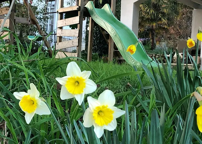 Tente Safari Eco 6 Personnes Luxury tent Castillon-Debats