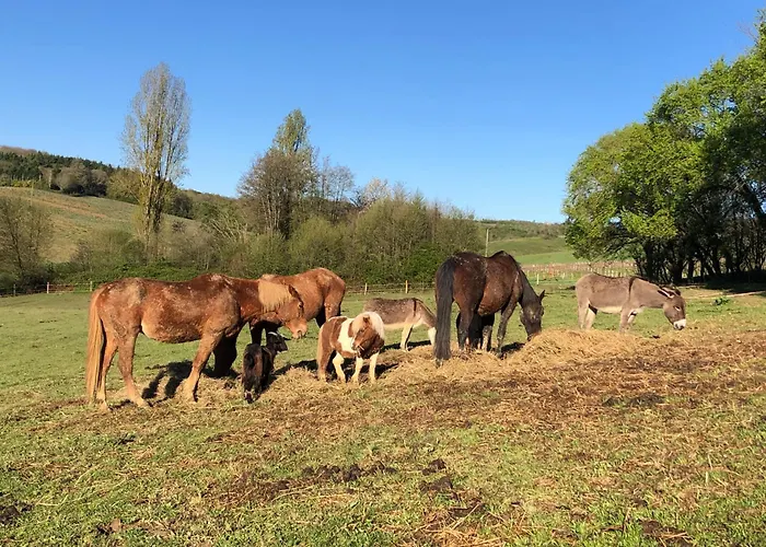 Luxury tent Tente Safari Eco 6 Personnes