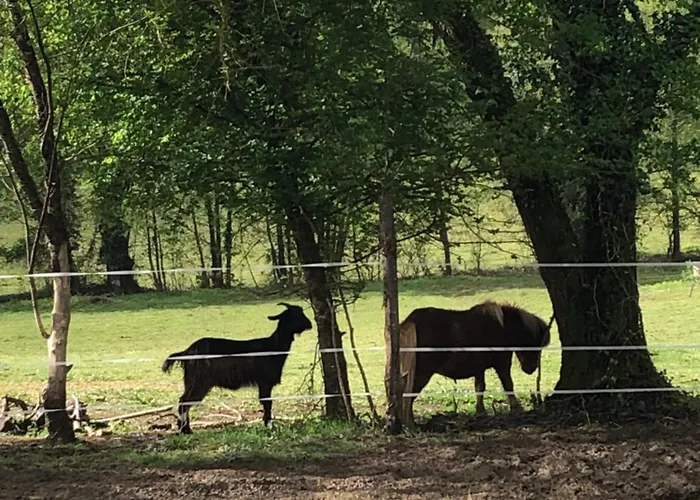 Tente Safari Eco 6 Personnes * Castillon-Debats